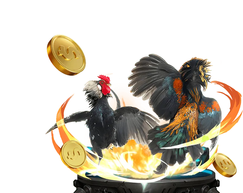 Câu hỏi thường gặp về Baccarat